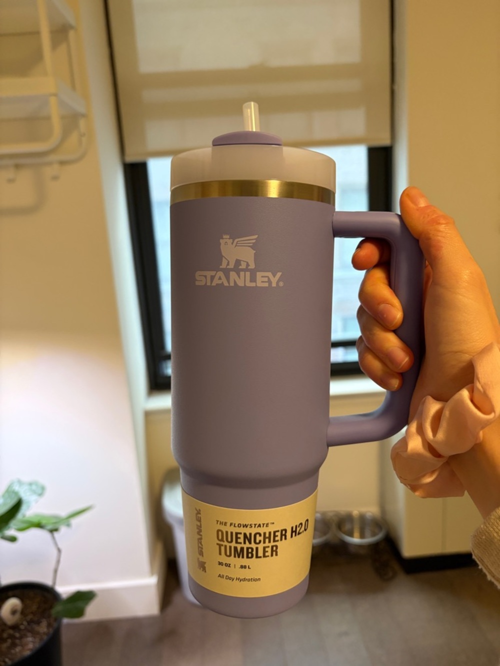 30oz Brand New Stanley Purple Quencher Travel Tumbler with Handle and Straw